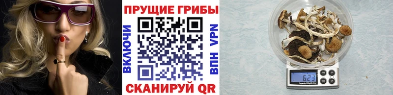 закладки  мега вход  Псилоцибиновые грибы ЛСД  Петровск-Забайкальский 